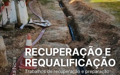 Progresso de trabalhos – Costa Nova